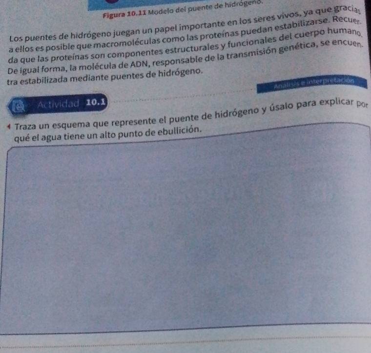 Figura 10.11 Modelo del puente de hidrógeno. 
Los puentes de hidrógeno juegan un papel importante en los seres vivos, ya que gracia 
a ellos es posible que macromoléculas como las proteínas puedan estabilizarse. Recuer 
da que las proteínas son componentes estructurales y funcionales del cuerpo humano, 
De igual forma, la molécula de ADN, responsable de la transmisión genética, se encuer 
tra estabilizada mediante puentes de hidrógeno. 
Analisis e interpretación 
a Actividad 10.1 
4 Traza un esquema que represente el puente de hidrógeno y úsalo para explicar por 
qué el agua tiene un alto punto de ebullición.