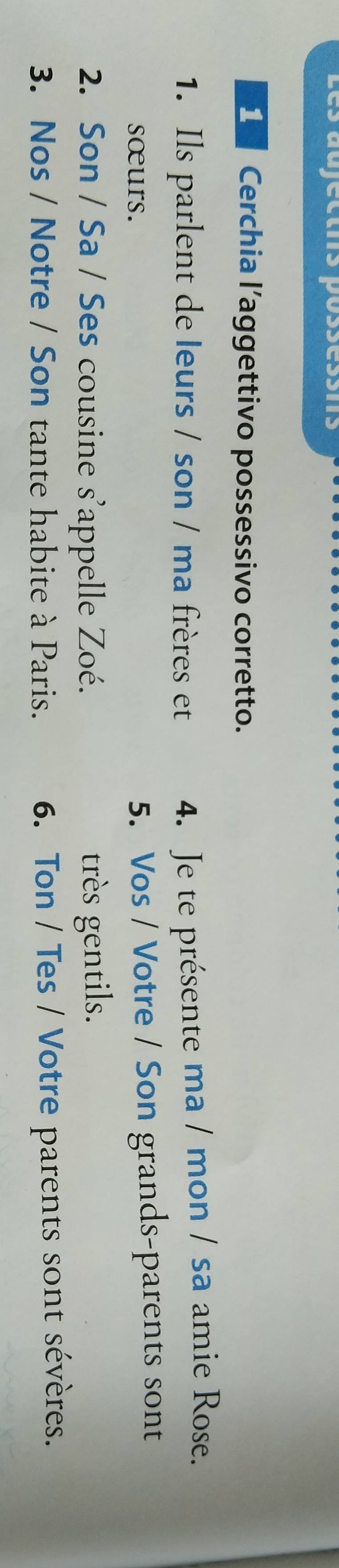 Les aujectns possèssns 
_ Cerchia l’aggettivo possessivo corretto. 
1. Ils parlent de leurs / son / ma frères et 4. Je te présente ma / mon / sa amie Rose. 
sœurs. 
5. Vos / Votre / Son grands-parents sont 
2. Son / Sa / Ses cousine s'appelle Zoé. très gentils. 
3. Nos / Notre / Son tante habite à Paris. 6. Ton / Tes / Votre parents sont sévères.
