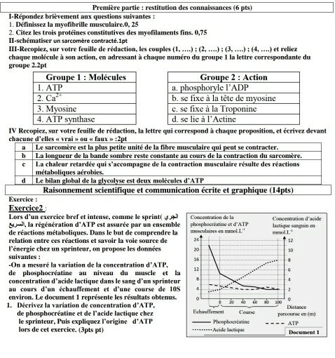 Première partie : restitution des connaissances (6 pts)
I-Répondez brièvement aux questions suivantes :
1. Définissez la myofibrille musculaire.0, 25
2. Citez les trois protéines constitutives des myofilaments fins. 0,75
II-schématiser un sarcomère contracté. 1pt
III-Recopiez, sur votre feuille de rédaction, les couples (1,...);(2,...);(3,...);(4,...) et reliez
chaque molécule à son action, en adressant à chaque numéro du groupe 1 la lettre correspondante du
groupe 2.2pt
IV Recopiez, sur votre feuille de rédaction, la lettre qui correspond à chaque proposition, et écrivez devant
chacune d'elles « vrai » ou « faux » :2pt
a Le sarcomère est la plus petite unité de la fibre musculaire qui peut se contracter.
b La longueur de la bande sombre reste constante au cours de la contraction du sarcomère.
c La chaleur retardée qui s'accompagne de la contraction musculaire résulte des réactions
métaboliques aérobies.
d Le bilan global de la glycolyse est deux molécules d^+ATP
Raisonnement scientifique et communication écrite et graphique (14pts)
Exercice :
Exercice2
Lors d'un exercice bref et intense, comme le sprint(   
, la régénération d'ATP est assurée par un ensemble
de réactions métaboliques. Dans le but de comprendre la
relation entre ces réactions et savoir la voie source de
l'énergie chez un sprinteur, on propose les données 
suivantes : 
-On a mesuré la variation de la concentration d'ATP
de phosphocréatine au niveau du muscle et l
concentration d’acide lactique dans le sang d’un sprinteur
au cours d'un échauffement et d'une course de 10S
environ. Le document 1 représente les résultats obtenus.
1. Décrivez la variation de concentration d'ATP.
de phosphocréatine et de l'acide lactique chez
le sprinteur, Puis expliquez l'origine d'ATP
lors de cet exercice. (3pts pt)