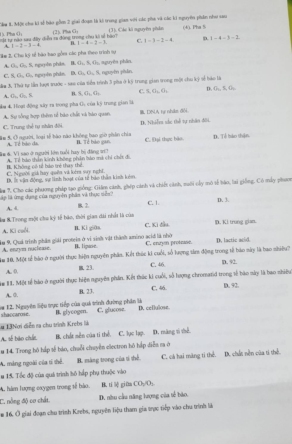 Tâu 1. Một chu kì tế bào gồm 2 giai đoạn là kì trung gian với các pha và các kì nguyên phân như sau
). Pha G_1 (2). Pha G_2 (3). Các kì nguyên phân (4). Pha S
trật tự nào sau đây diễn ra đúng trong chu kì tế bào?
A. 1-2-3-4. B. 1-4-2-3. C. 1-3-2-4. D. 1-4-3-2.
2ầu 2. Chu kỳ tế bào bao gồm các pha theo trình tự
A. G_1,G_2, S, nguyên phân. B. G_1,S,G_2, nguyên phân.
C. S,G_1,G_2 , nguyên phân. D. G_2,G_1,S S, nguyên phân.
ầu 3. Thứ tự lần lượt trước - sau của tiến trình 3 pha ở kỳ trung gian trong một chu kỳ tế bào là
C. S,G_2,G_1.
D. G_1,S,G_2.
A. G_1,G_2,S.
B. S,G_1,G_2.
ầu 4. Hoạt động xảy ra trong pha G_1 của kỳ trung gian là
A. Sự tổng hợp thêm tế bào chất và bào quan. B. DNA tự nhân đôi.
C. Trung thể tự nhân đôi. D. Nhiễm sắc thể tự nhân đôi.
âu 5. Ở người, loại tế bào nào không bao giờ phân chia
A. Tế bào da. B. Tế bào gan. C. Đại thực bào. D. Tế bảo thận.
ầu 6. Vì sao ở người lớn tuổi hay bị đãng trí?
A. Tế bào thần kinh không phân bào mà chỉ chết đi.
B. Không có tế bào trẻ thay thể.
C. Người già hay quên và kém suy nghĩ.
D. Ít vận động, sự linh hoạt của tế bào thần kinh kém.
âu 7. Cho các phương pháp tạo giống: Giâm cành, ghép cành và chiết cành, nuôi cấy mô tế bào, lai giống. Có mấy phươn
láp là ứng dụng của nguyên phân và thực tiễn?
C. 1.
A. 4. B. 2. D. 3.
ầu 8.Trong một chu kỳ tế bào, thời gian dài nhất là của
C. Kì đầu.
A. Kì cuối. B. Kì giữa. D. Kì trung gian.
ầu 9. Quá trình phân giải protein ở vi sinh vật thành amino acid là nhờ
A. enzym nuclease. B. lipase. C. enzym protease. D. lactic acid.
ầu 10. Một tế bào ở người thực hiện nguyên phân. Kết thúc kì cuối, số lượng tâm động trong tế bào này là bao nhiêu?
C. 46. D. 92.
A. 0. B. 23.
ầu 11. Một tế bào ở người thực hiện nguyên phân. Kết thúc kì cuối, số lượng chromatid trong tế bào này là bao nhiêut
A. 0. B. 23. C. 46. D. 92.
iu 12. Nguyên liệu trực tiếp của quá trình đường phân là
shaccarose. B. glycogen. C. glucose. D. cellulose.
lu 13Nơi diễn ra chu trình Krebs là
A. tế bào chất. B. chất nền của ti thể. C. lục lạp. D. màng ti thể.
u 14. Trong hô hấp tế bào, chuỗi chuyền electron hô hấp diễn ra ở
A. màng ngoài của ti thể. B. màng trong của ti thể. C. cả hai màng ti thể. D. chất nền của ti thể.
u 15. Tốc độ của quá trình hô hấp phụ thuộc vào
A. hàm lượng oxygen trong tế bào. B. tỉ lệ giữa CO_2/O_2.
C. nồng độ cơ chất. D. nhu cầu năng lượng của tế bào.
Âu 16. Ở giai đoạn chu trình Krebs, nguyên liệu tham gia trực tiếp vào chu trình là