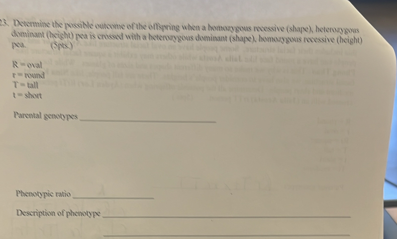 Determine the possible outcome of the offspring when a homozygous recessive (shape), heterozygous 
dominant (height) pea is crossed with a heterozygous dominant (shape), homozygous recessive (height) 
pea. (5pts.)
R=oval
r=round
T=tall
t=short
Parental genotypes_ 
Phenotypic ratio_ 
Description of phenotype_ 
_