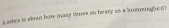 A zebra is about how many times as heavy as a hummingbird?