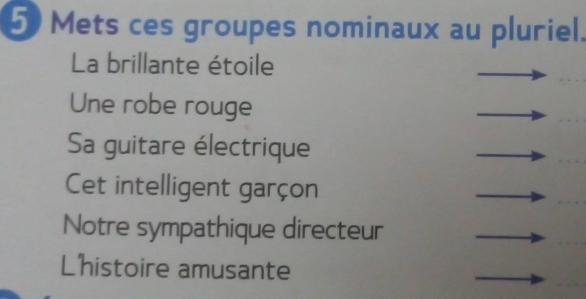 Mets ces groupes nominaux au pluriel. 
La brillante étoile 
Une robe rouge 
Sa guitare électrique 
Cet intelligent garçon 
Notre sympathique directeur 
L'histoire amusante