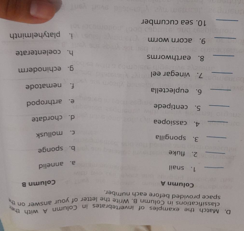 Match the examples of invertebrates in Column A with thei
classifications in Column B. Write the letter of your answer on the
space provided before each number.
Column A Column B
_1. snail
a. annelid
_2. fluke
b. sponge
_3. spongilla
c. mollusk
_4. cassiopea
d. chordate
_5. centipede
e. arthropod
_6. euplectella
f. nematode
_7. vinegar eel
g. echinoderm
_8. earthworms
h. coelenterate
_9. acorn worm
i. platyhelminth
_10. sea cucumber