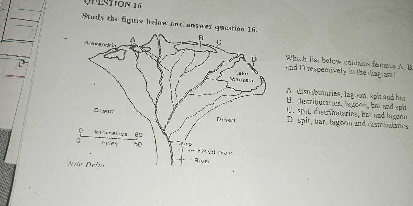 Study the figure below and answer q
Which list below contains features A, B
and D respectively in the diagram?
A. distributaries, lagoon, spit and bar
B. distributaries, lagoon, bar and spit
C. spit, distributaries, bar and lagoon
D. spit, bar, lagoon and distributaries