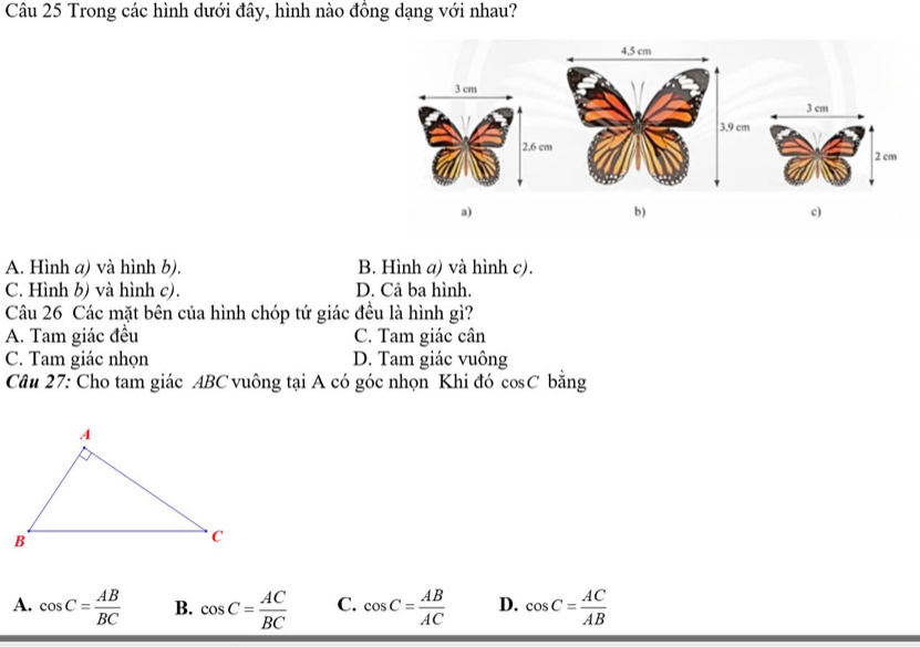 Trong các hình dưới đây, hình nào đồng dạng với nhau?
3 cm
m
2 cm
a)
b)
c)
A. Hình a) và hình b). B. Hình a) và hình c).
C. Hình b) và hình c). D. Cả ba hình.
Câu 26 Các mặt bên của hình chóp tứ giác đều là hình gì?
A. Tam giác đều C. Tam giác cân
C. Tam giác nhọn D. Tam giác vuông
Câu 27: Cho tam giác ABC vuông tại A có góc nhọn Khi đó cosC bằng
A. cos C= AB/BC  B. cos C= AC/BC  C. cos C= AB/AC  D. cos C= AC/AB 