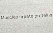 Muscles create proteins