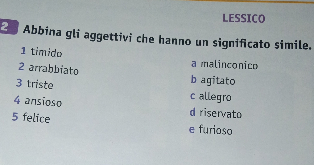 LESSICO
2 Abbina gli aggettivi che hanno un significato simile.
1 timido
a malinconico
2 arrabbiato
3 triste
b agitato
c allegro
4 ansioso d riservato
5 felice
e furioso