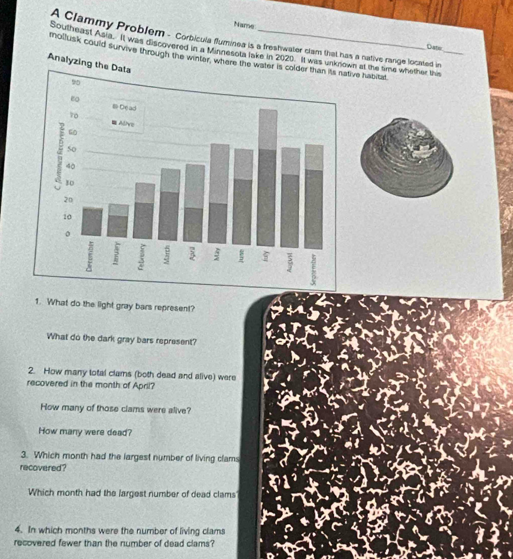 Name
A Clammy Problem - Corbícula fluminea is a freshwater clam that has a native range located in
Southeast Asia. It was discovered in a Minnesota lake in 2020. It was unknown at the time whether this_
Dater
mollusk could survive through the winter, where the water is coive habitat
Analyzing the D
1. What do the light gray bars represent?
What do the dark gray bars represent?
2. How many total clams (both dead and alive) were
recovered in the month of April?
How many of those clams were alive?
How many were dead?
3. Which month had the largest number of living clams
recovered?
Which month had the largest number of dead clams
4. In which months were the number of living clams
recovered fewer than the number of dead clams?