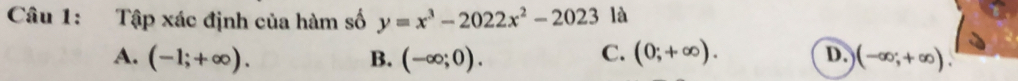 Tập xác định của hàm số y=x^3-2022x^2-2023 là
C.
A. (-1;+∈fty ). B. (-∈fty ;0). (0;+∈fty ). D. (-∈fty ;+∈fty ).