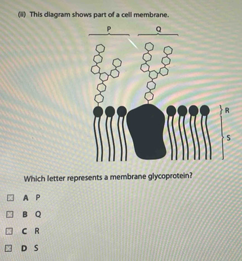 Solved: (ii) This diagram shows part of a cell membrane. Which letter ...