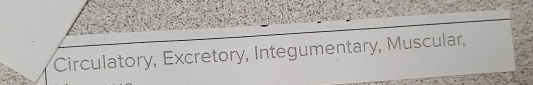 Circulatory, Excretory, Integumentary, Muscular,