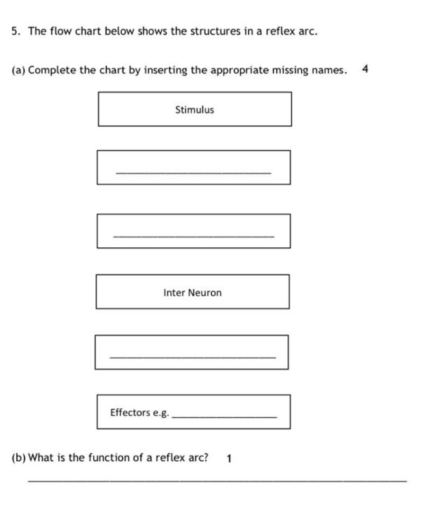 The flow chart below shows the structures in a reflex arc. 
(a) Complete the chart by inserting the appropriate missing names. 4 
Stimulus 
_ 
_ 
Inter Neuron 
_ 
Effectors e.g._ 
(b) What is the function of a reflex arc? 1 
_