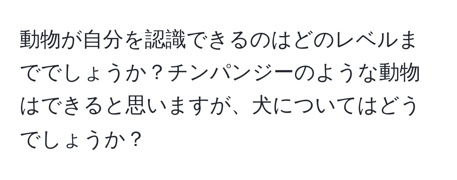 動物が自分を認識できるのはどのレベルまででしょうか？チンパンジーのような動物はできると思いますが、犬についてはどうでしょうか？