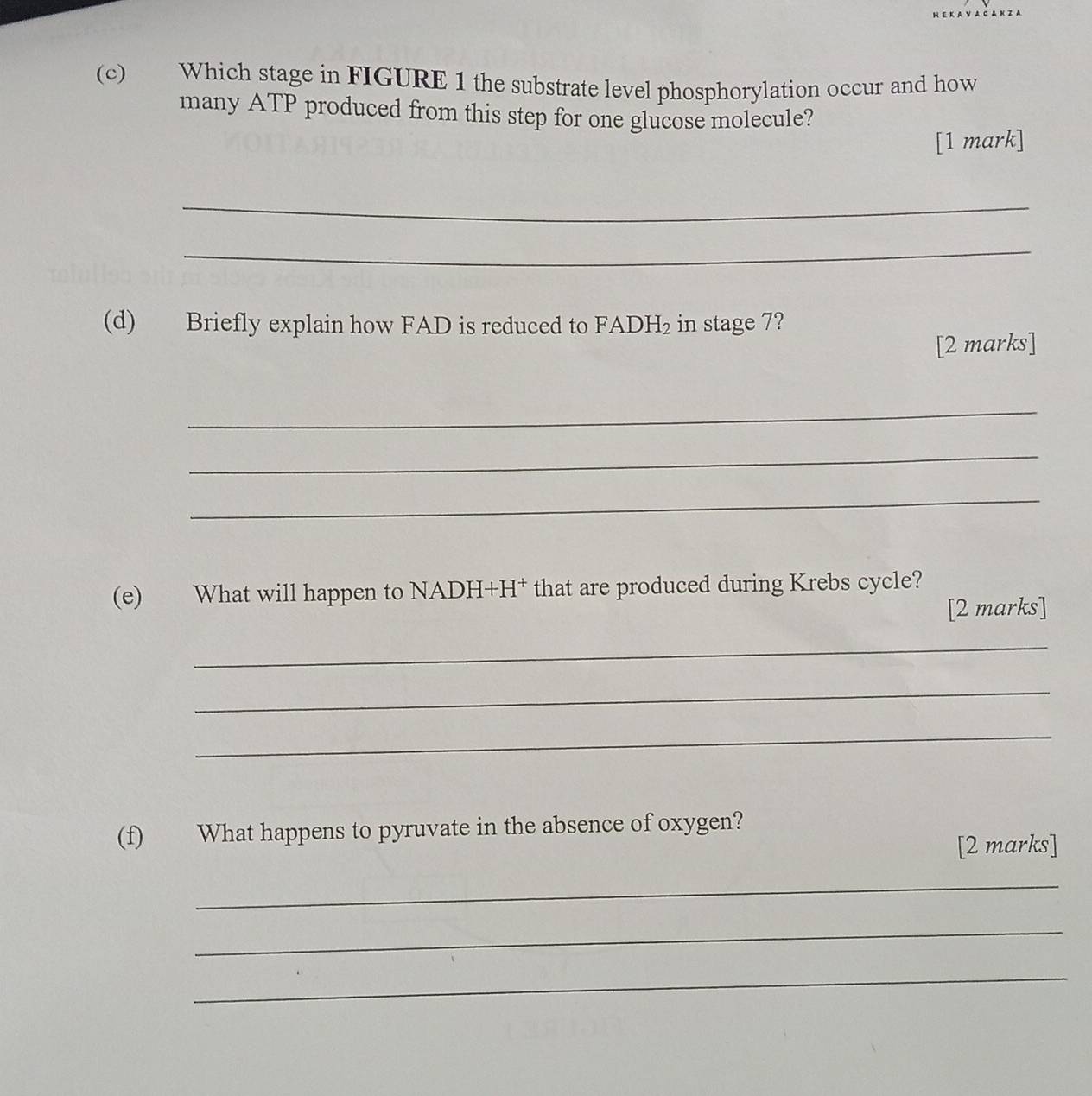 Which stage in FIGURE 1 the substrate level phosphorylation occur and how 
many ATP produced from this step for one glucose molecule? 
[1 mark] 
_ 
_ 
(d) Briefly explain how FAD is reduced to FADH₂ in stage 7? 
[2 marks] 
_ 
_ 
_ 
(e) What will happen to NADH+H † that are produced during Krebs cycle? 
[2 marks] 
_ 
_ 
_ 
(f) What happens to pyruvate in the absence of oxygen? 
[2 marks] 
_ 
_ 
_