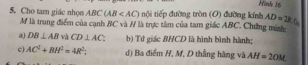 Hình 16
5. Cho tam giác nhọn ABC(AB nội tiếp đường tròn (O) đường kính AD=2R
M là trung điểm của cạnh BC và H là trực tâm của tam giác ABC. Chứng minh:
a) DB⊥ AB và CD⊥ AC b) Tứ giác BHCD là hình bình hành;
c) AC^2+BH^2=4R^2; d) Ba điểm H, M, D thẳng hàng và AH=2OM.