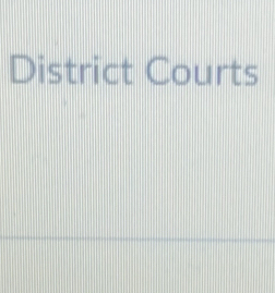 District Courts