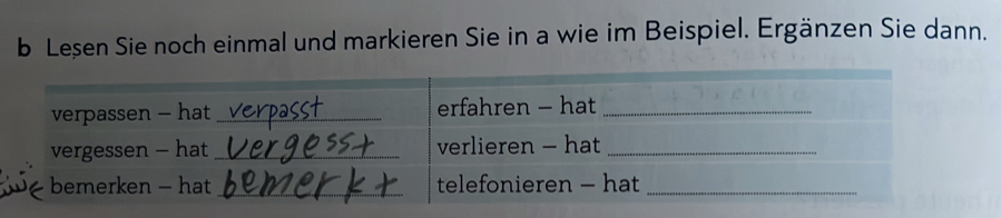 Leșen Sie noch einmal und markieren Sie in a wie im Beispiel. Ergänzen Sie dann.