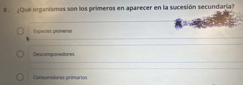 8 ¿Qué organismos son los primeros en aparecer en la sucesión secundaria?
Especies pioneras
Descomponedores
Consumidores primarios