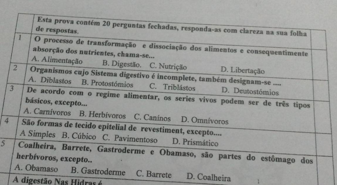 4
5
D. Coalheira
A digestão Nas Hidras é