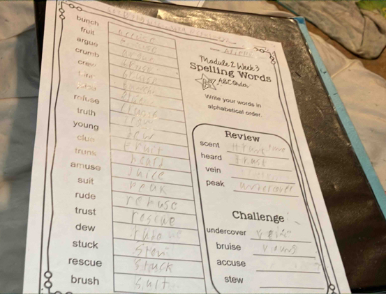 bunch 
fruit 
argue 
crumb 
Madule 2 Week 3 
Spelling Words 
crew ABC Ondn 
yos 
reluse 
Write your words in alphabetical order. 
truth 
young 
clue 
Review 
_ 
scent 
trunk 
heard 
amuse 
vein 
_ 
_ 
suit peak 
_ 
rude 
trust 
Challenge 
dew 
_ 
undercover 
_ 
stuck bruise 
_ 
rescue accuse 
_ 
brush 
stew