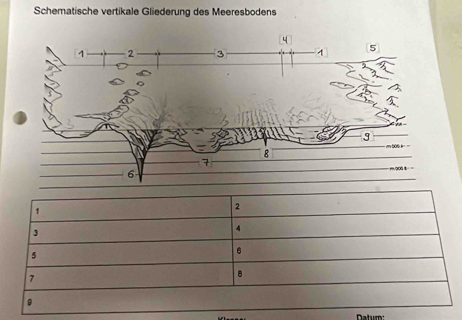 Schematische vertikale Gliederung des Meeresbodens 
Datum: