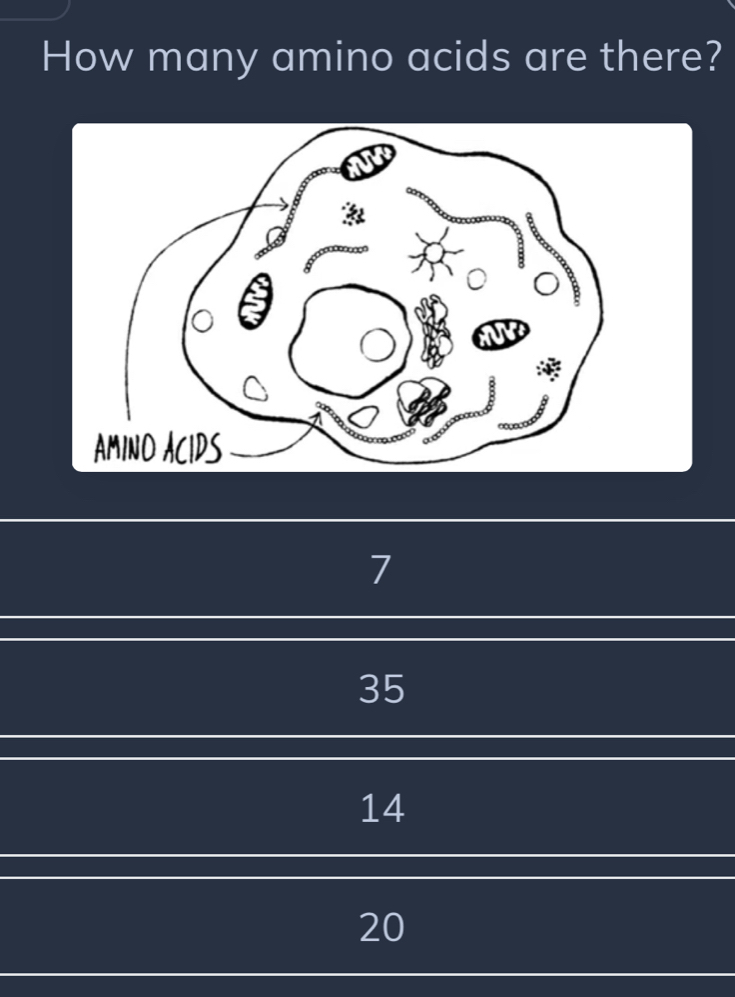 How many amino acids are there?
7
35
14
20