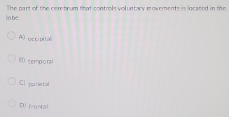 The part of the cerebrum that controls voluntary movements is located in the
lobe.
A) occipital
B) temporal
C) parietal
D) frontal