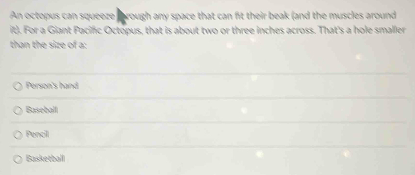 An octopus can squeeze forough any space that can fit their beak (and the muscles around
it). For a Giant Pacifc Octopus, that is about two or three inches across. That's a hole smaller
than the size of a:
Person's hand
Baseball
Pencil
Basketball