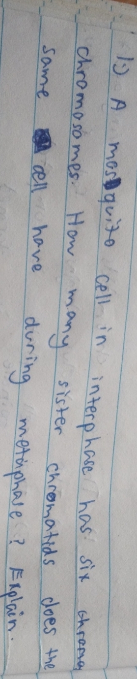 A mesquito cell in interphase has six 
chromosomes. How many sister chromatids does the 
same cell have during metaphase? Explain