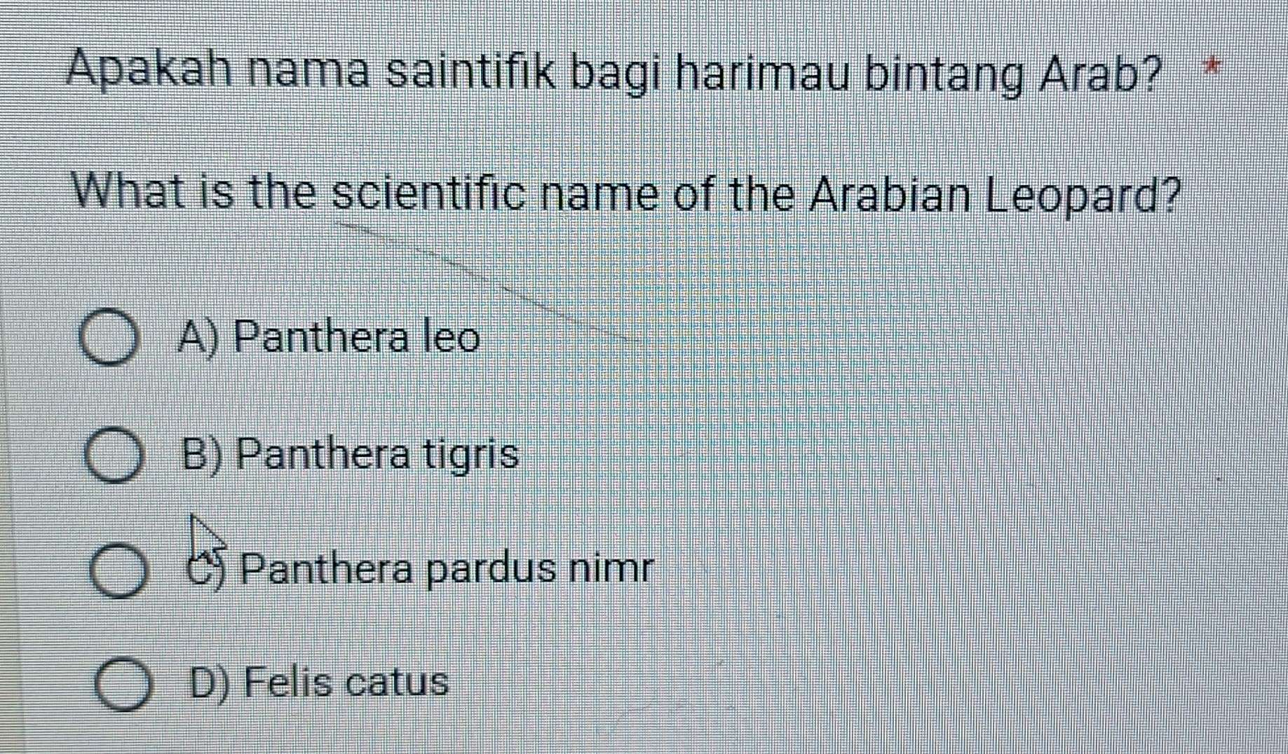 Apakah nama saintifik bagi harimau bintang Arab? *
What is the scientific name of the Arabian Leopard?
A) Panthera leo
B) Panthera tigris
Panthera pardus nimr
D) Felis catus