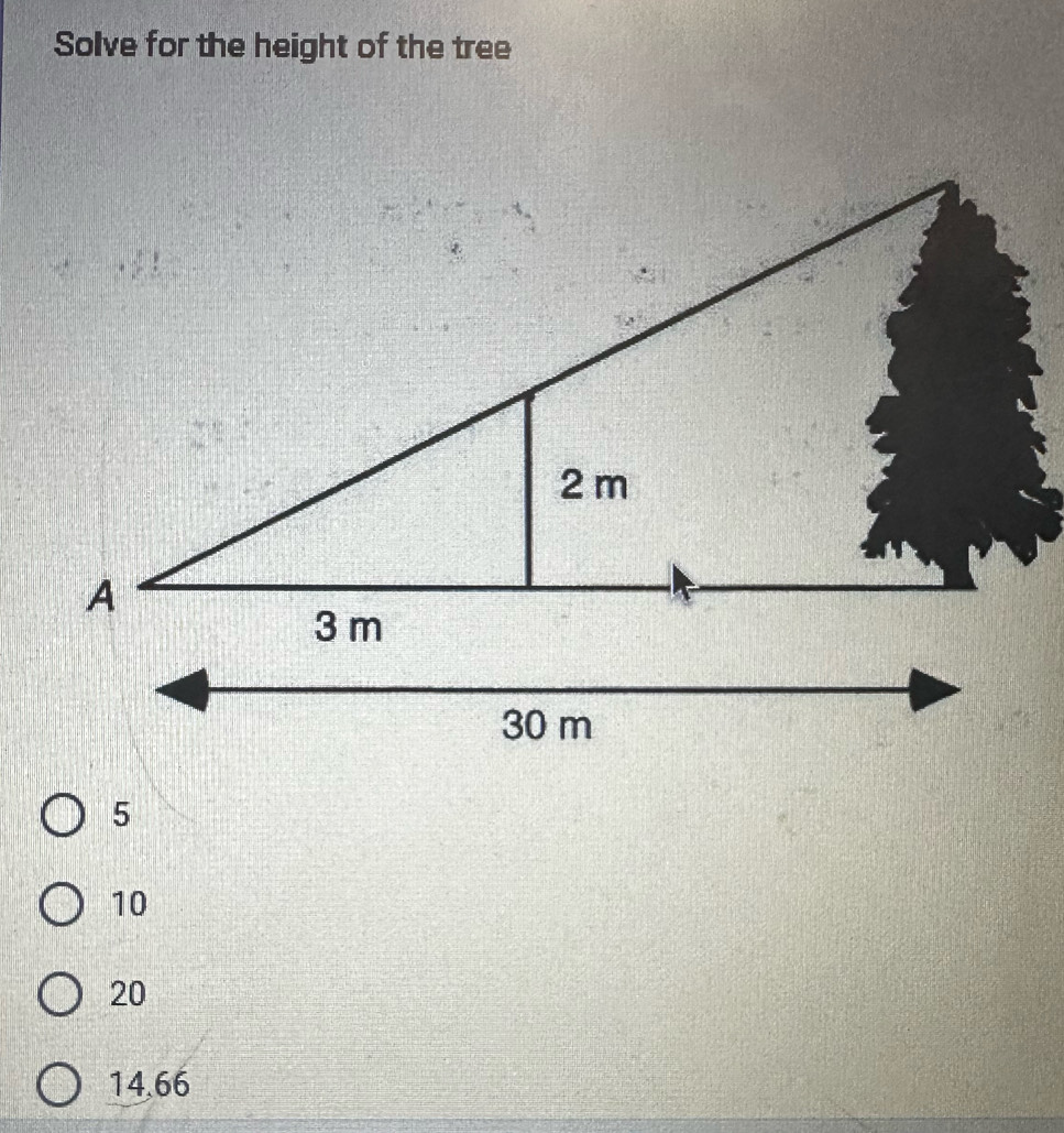 Solve for the height of the tree
10
20
14.66