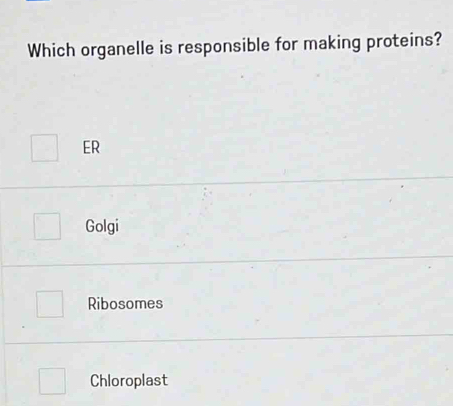 Which organelle is responsible for making proteins?
ER
Golgi
Ribosomes
Chloroplast