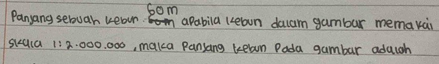 som 
Panyang sebuah kebur. apabila kcebwn daam gambar memakai 
Skala 1: 2. 000. 000, maka pansang tewn Pada gambar adaugh