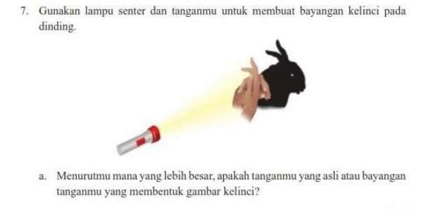 Gunakan lampu senter dan tanganmu untuk membuat bayangan kelinci pada 
dinding. 
a. Menurutmu mana yang lebih besar, apakah tanganmu yang asli atau bayangan 
tanganmu yang membentuk gambar kelinci?