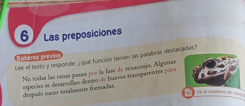 Las preposiciones
Saberes previos
Lee el texto y responde: ¿qué función tienen las palabras destacadas?
No todas las ranas pasan por la fase de renacuajo. Algunas
especies se desarrollan dentro de huevos transparentes para
después nacer totalmente formadas.
Ve al cuaderno de trabajo