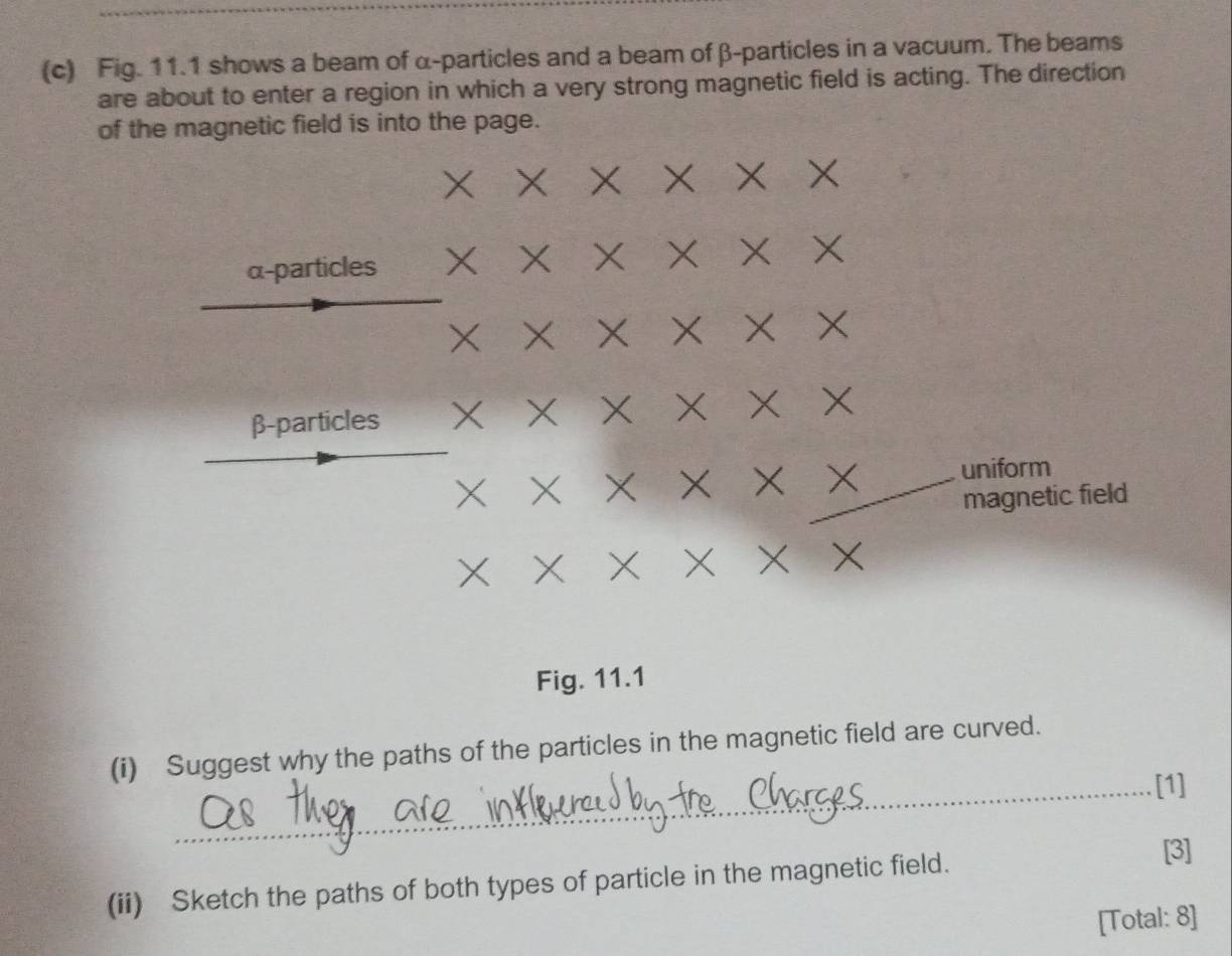 Fig. 11.1 shows a beam of α -particles and a beam of β -particles in a vacuum. The beams 
are about to enter a region in which a very strong magnetic field is acting. The direction 
of the magnetic field is into the page.
X X ×
X
α -particles X X X
X X
×
β -particles X
X uniform 
magnetic field
X
Fig. 11.1 
(i) Suggest why the paths of the particles in the magnetic field are curved. 
_[1] 
(ii) Sketch the paths of both types of particle in the magnetic field. 
[3] 
[Total: 8]