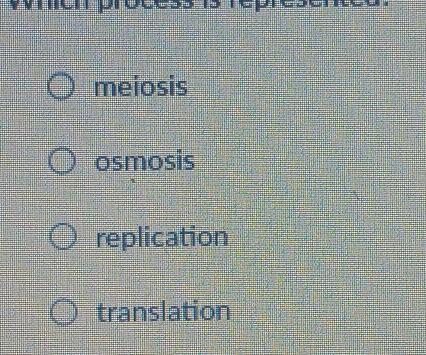 meiosis
osmosis
replication
translation