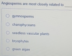 Angiosperms are most closely related to
_
gymnosperms
charophyceans
seedless vascular plants
bryophytes
green algae