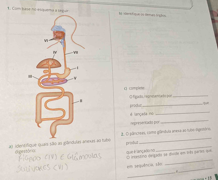 Com base no esquema a seguir: b) identifique os demais órgãos: 
c) complete: 
O fígado, representado por_ 
produz _que 
é lançada no 
_ 
representado por 
_ 
_ 
2. O pâncreas, como glândula anexa ao tubo digestório, 
a) identifique quais são as glândulasexas ao tubo_ 
produz 
digestório: 
que é lançado no 
_ 
O intestino delgado se divide em três partes que, 
_ 
em sequência, são: 
_e 
OlOGia · 15