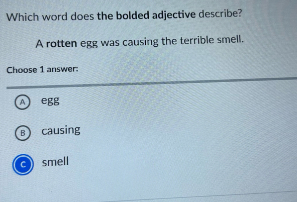 Which word does the bolded adjective describe?
A rotten egg was causing the terrible smell.
Choose 1 answer:
A egg
B causing
c smell