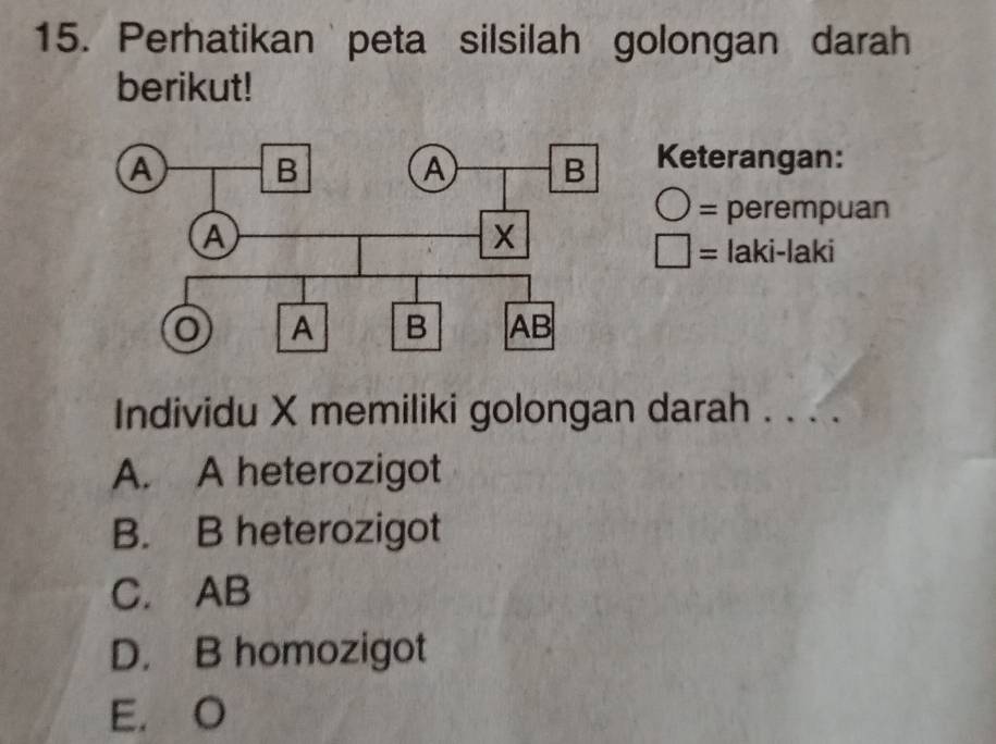 Perhatikan peta silsilah golongan darah
berikut!
Keterangan:
= perempuan
= laki-laki
Individu X memiliki golongan darah . . . .
A. A heterozigot
B. B heterozigot
C. AB
D. B homozigot
E. O