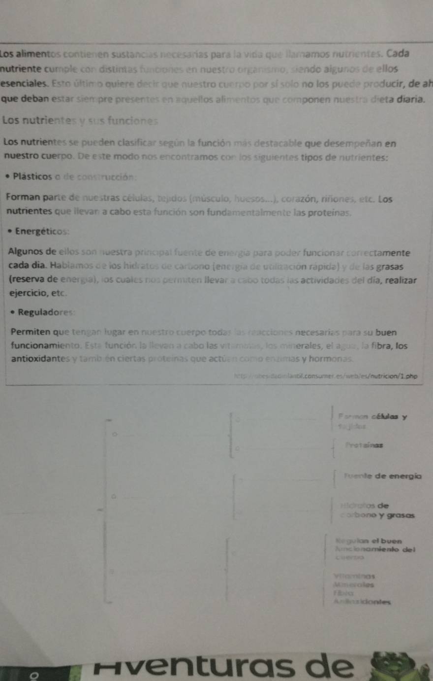 Los alimentos contienen sustancias necesarías para la vida que llamamos nutrientes. Cada
mutriente cumple con distintas funciones en nuestro organismo, siendo algunos de ellos
esenciales. Esto último quiere decir que nuestro cuerpo por sí solo no los puede producir, de al
que deban estar siémpre présentes en aquellos alimentos que componen nuestra dieta diaria.
Los nutrientes y sus funciones
Los nutrientes se pueden clasificar según la función más destacable que desempeñan en
nuestro cuerpo. De este modo nos encontramos con los siguientes tipos de nutrientes:
Plásticos o de construcción:
Forman parte de nuestras células, tejidos (músculo, huesos...), corazón, riñones, etc. Los
nutrientes que llevan a cabo esta función son fundamentalmente las proteinas.
Energéticos:
Algunos de ellos son nuestra principal fuente de energía para poder funcionar correctamente
cada día. Hablamos de los hidratos de carbono (energía de utilización rápida) y de las grasas
(reserva de energia), los cuales nos permiten llevar a cabo todas las actividades del día, realizar
ejercicio, etc.
Reguladores
Permiten que tengan lugar en nuestro cuerpo todas las reacciones necesarías para su buen
funcionamiento. Esta función la llevan a cabo las vitamias, los minerales, el agua, la fibra, los
antioxidantes y también ciertas próteínas que actúan como enzimas y hormonas.
http://obesidadinlantil.consumer.es/web/es/nutricion/1.php
Farmon células y
Pajidns
。
。
Protzinas
Fuente de energía
G
Hióratos de
corbono y grasas
Negulan el buen
ncionamiento del
Vilaminas
Min erales
Andinzidantes
Éventuras de