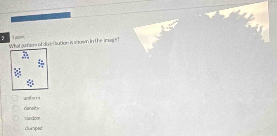 2 1 point
What pattern of distribution is shown in the image?
uniform
density
randorn
clumped