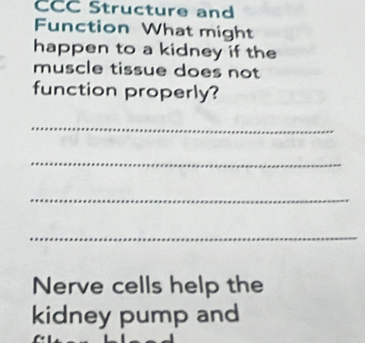 CCC Structure and 
Function What might 
happen to a kidney if the 
muscle tissue does not 
function properly? 
_ 
_ 
_ 
_ 
Nerve cells help the 
kidney pump and