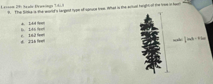 Lesson 29: Scale Drawings 7.G.1
9. The Sitka is the world's largest type of spruce tree. What is the actual height of the tree in feet?
a. 144 feet
b. 146 feet
c. 162 feet
scale:  1/8 
d. 216 feet incl =9 feel