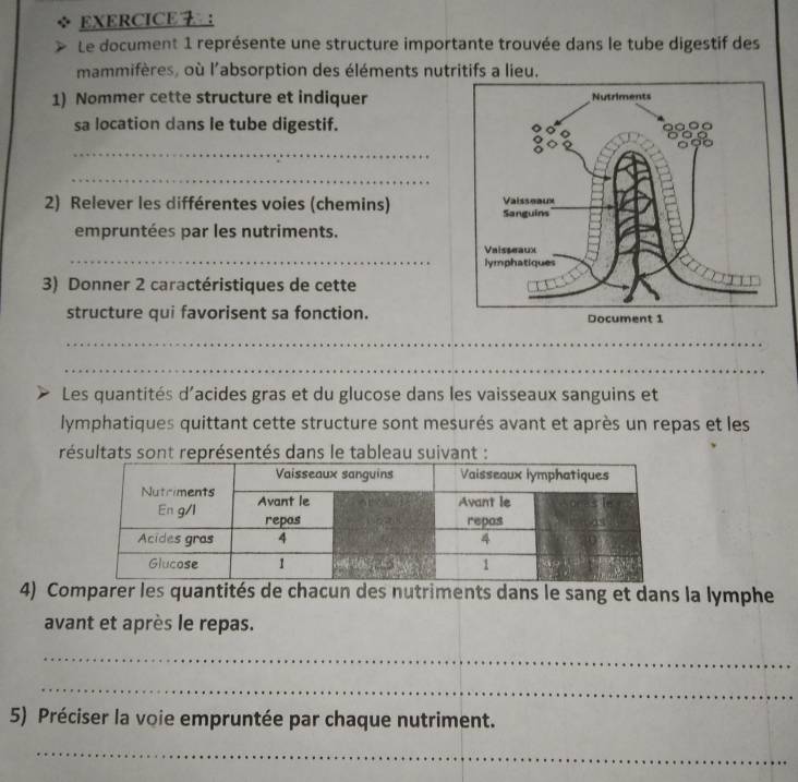 ： 
Le document 1 représente une structure importante trouvée dans le tube digestif des 
mammifères, où l'absorption des éléments nutritifs a lieu. 
1) Nommer cette structure et indiquer 
sa location dans le tube digestif. 
_ 
_ 
2) Relever les différentes voies (chemins) 
empruntées par les nutriments. 
_ 
3) Donner 2 caractéristiques de cette 
structure qui favorisent sa fonction. 
_ 
_ 
Les quantités d'acides gras et du glucose dans les vaisseaux sanguins et 
lymphatiques quittant cette structure sont mesurés avant et après un repas et les 
résultats sont représentés dans le tableau suivant : 
4) Comparer les quantités de chacun des nutriments dans le sang et dans la lymphe 
avant et après le repas. 
_ 
_ 
5) Préciser la voie empruntée par chaque nutriment. 
_