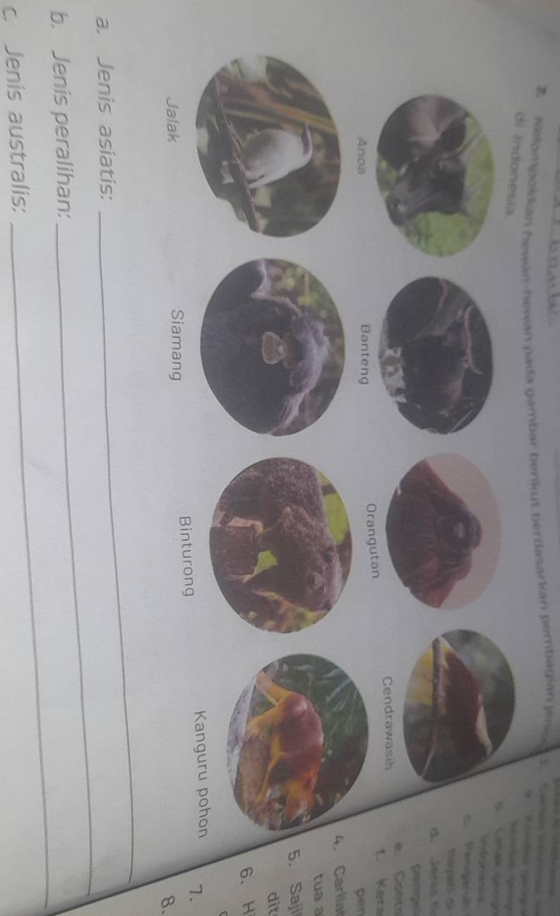 Nelompokian hewan-hewan pada gambar berikut berdasarkan pembagian jenis 5.Te t wo 
Reg 
Revertenção Rptónço 
c. Pengirut 
Iatgat d 
d. Jenis tie 
pengel 
e. Conta 
t. Kera 
pen 
4. Carlla 
tuaa 
5. Saji 
dit 
6. H 
. 
8. 
a. Jenis asiatis: 
_ 
b. Jenis peralihan: 
_ 
c. Jenis australis: 
_