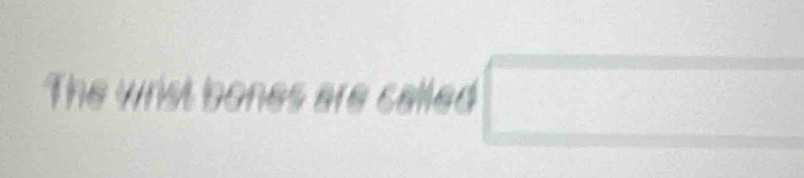The wrist bones are called □