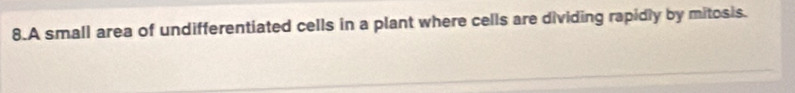 A small area of undifferentiated cells in a plant where cells are dividing rapidly by mitosis.